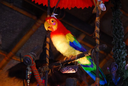  Jose Tiki Room Magic Kingdom