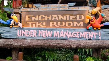 TikiRoomUndernewmanagementBuilding3.jpg