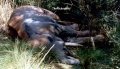 Thumbnail for version as of 17:56, 23 June 2016
