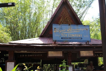 Teacompany.jpg
