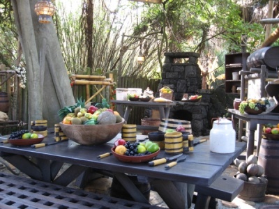  Swiss Family Treehouse Kitchen