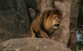 Thumbnail for version as of 15:11, 16 November 2012