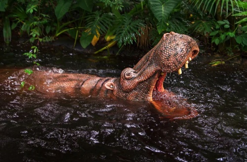  Jungle Cruise hippo