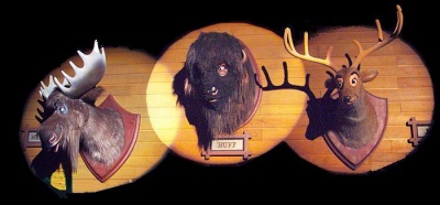  Singing heads Country Bear Jamboree Melvin Buck Max